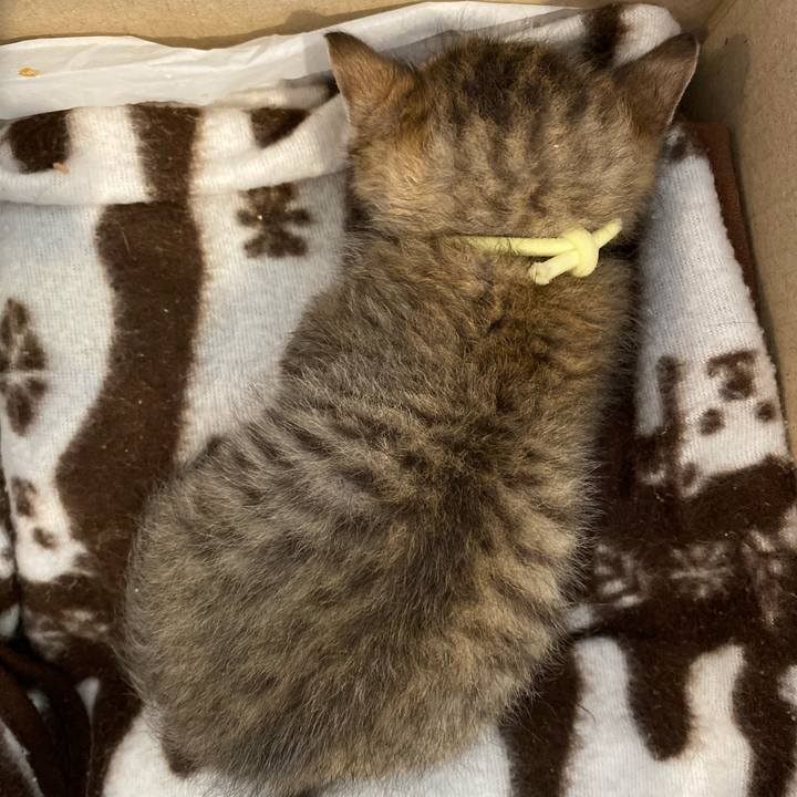 3d7030f6 c30d 4cf4 bbf9 d4c168aa5379 1620084118464