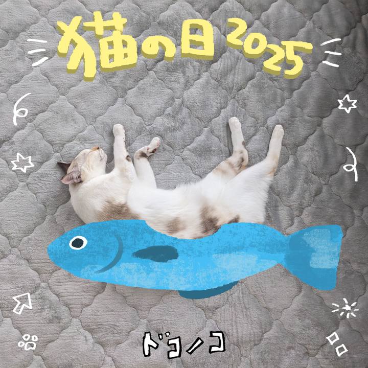 3d704ca8 b5bd 41d8 a03e 9d02d94994f3 1740436280482