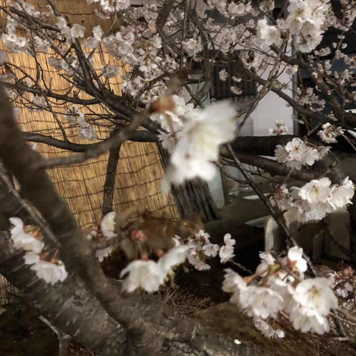 3d7059b8 d7fc 454d 955c a447f6a8e1de 1552566201503