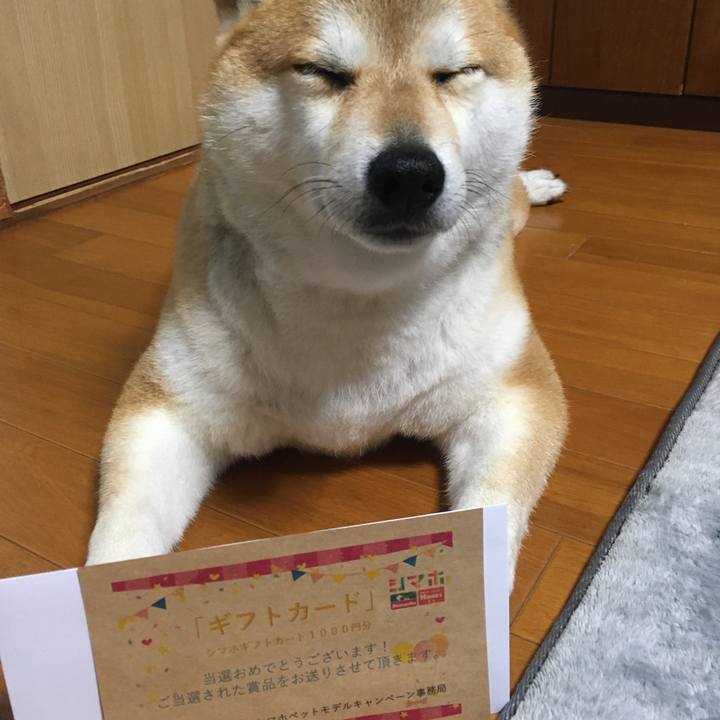 3d707862 4914 44e8 8b61 6848cc2c9052 1591007256996