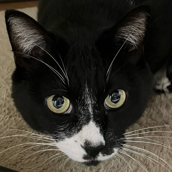 3d708522 cc37 49ab a780 53cca277a769 1768014948988