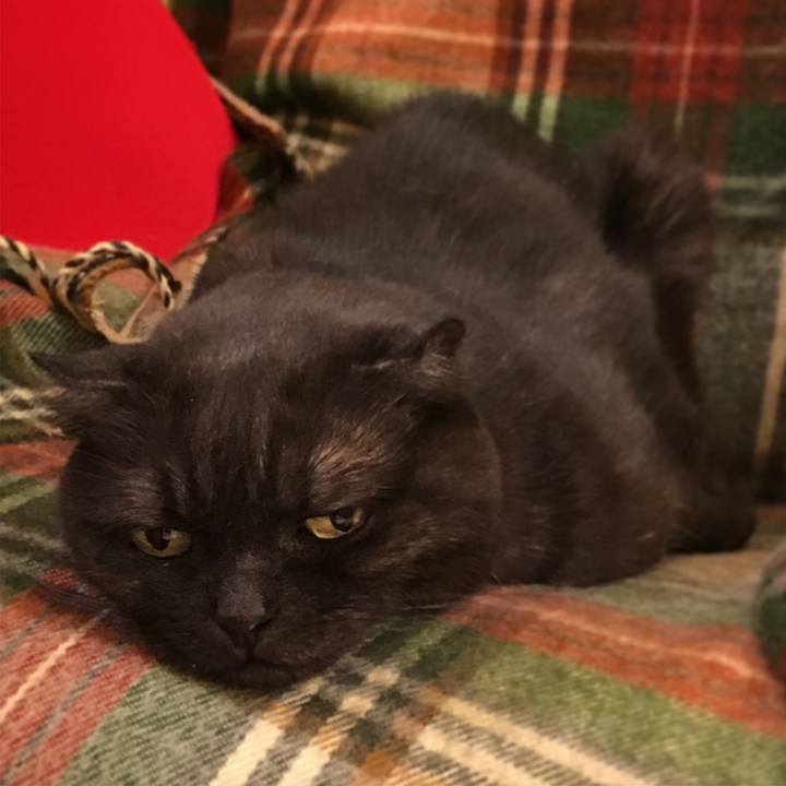 3d708675 d1ee 4665 b13a 661a8966c5e9 1527354176340