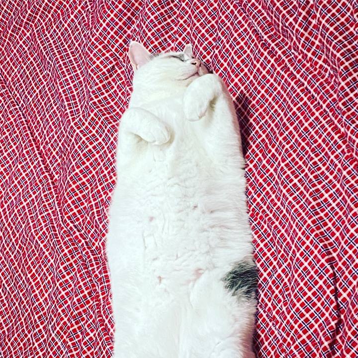 3d708c74 9486 4bb4 82d7 d10adbc48324 1629136252303