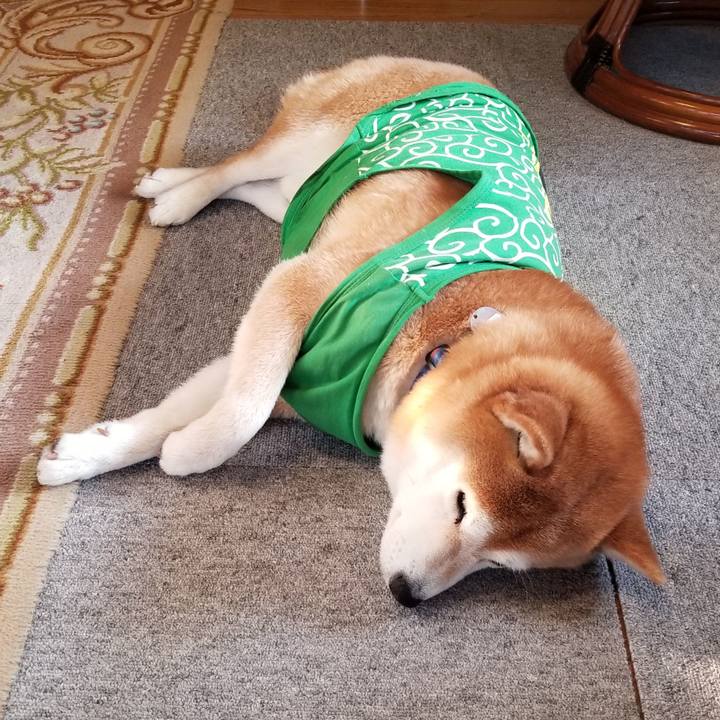 3d70af4a a46e 4dde 9752 614149328785 1586556091199