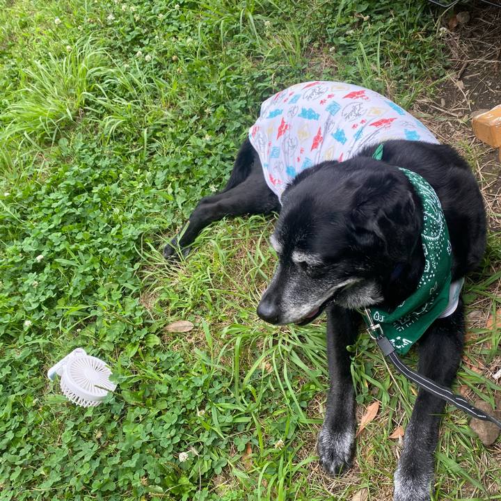 3d712819 0861 4152 8caa 4a2695836c5f 1719721921080