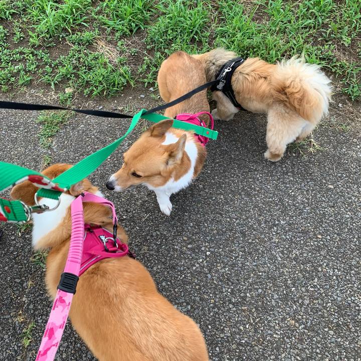 3d71361d ca4b 458b be1e 76ec78870839 1627169387601