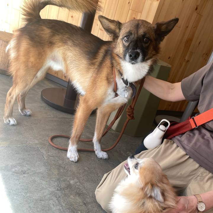 3d7149a3 76fe 4dcc 8a0a 7f2e4559eaf5 1760666955891