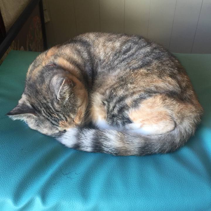 3d714bd4 af93 4e8c be85 1d86b4715fbb 1557557964516