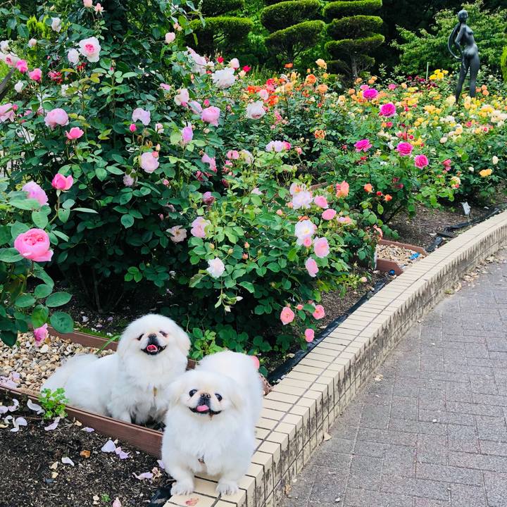 3d716ce8 e4e6 4ca7 9704 0360555fb6c4 1621038617121