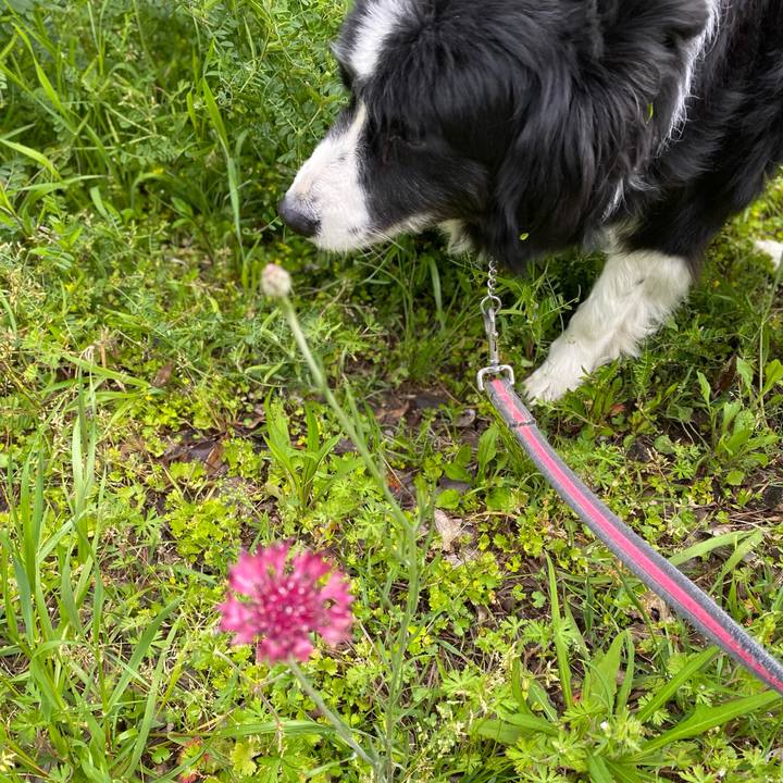 3d717b2f 0245 49bd 8a94 c5e82a0a7dda 1650669276698