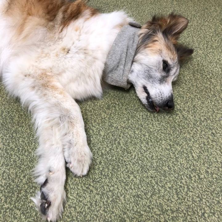 3d717bbc b94f 4a30 819a 39ffc1f8a00e 1558675899703