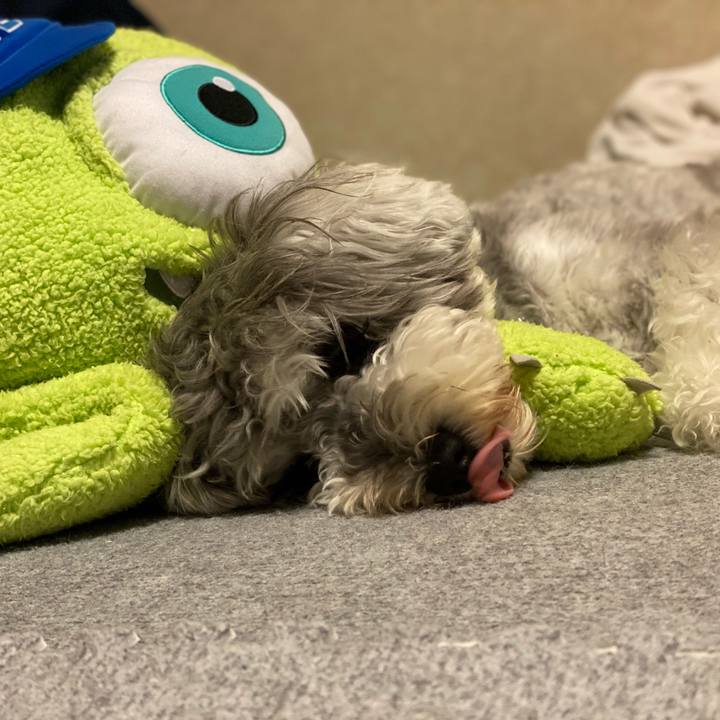 3d717df3 5326 4705 bd32 5e543a709111 1622134428143