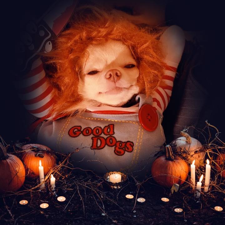 3d717f76 60c1 4f48 9ffc fa87d75de14c 1666429805635