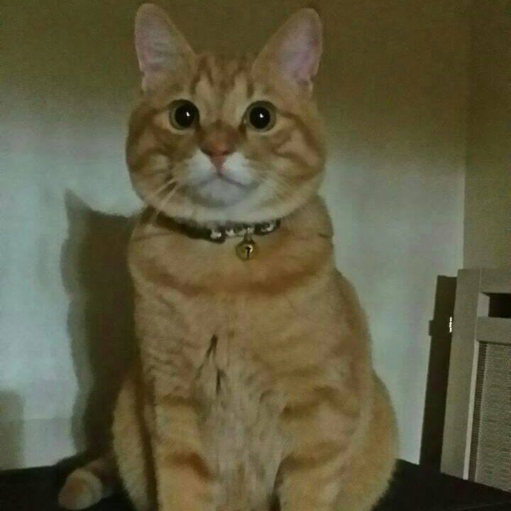 3d719794 51ee 486d a9d6 3bd11c57d244 1513479198792