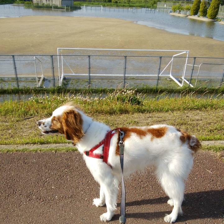 3d71ac8a 2e90 49d6 8ec5 b2dc4b7eb73c 1526299580245