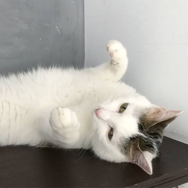 3d71b5dc a292 4e55 95a3 0abbde09b6af 1533274384460