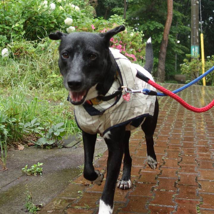 3d71b5e1 988f 40b7 a478 4fe489086bfe 1590970322793