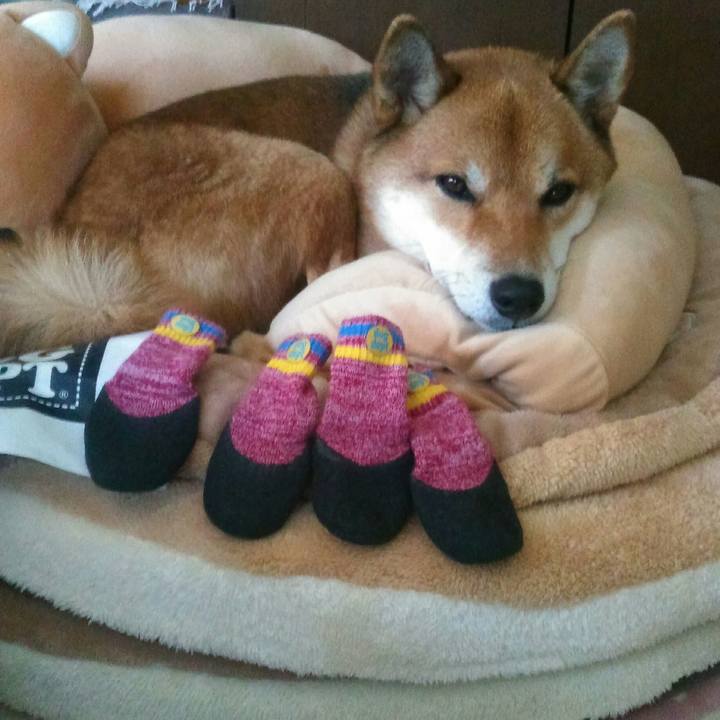 3d71f7a7 7286 467c b335 aa842b8171ec 1510799871153