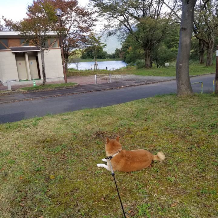 3d71faff a2dc 434f 91fa 3053a7285ccd 1665467469524