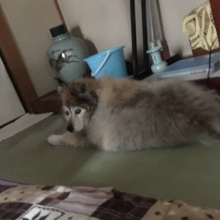 3d727de0 83fd 43d3 9dd7 2d0b5a60a271 1553728603030