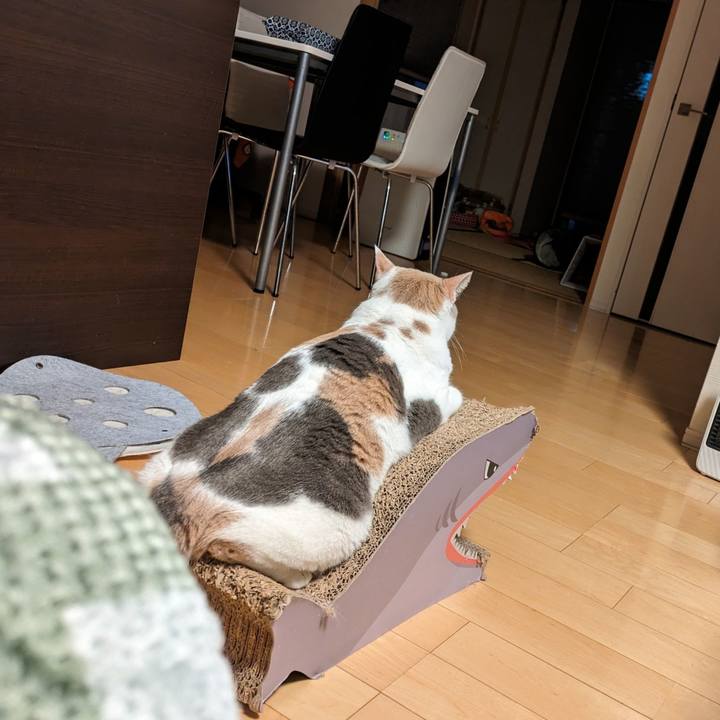 3d72d35c 30cd 4ecd 983a 341b0eaf0247 1701748683970