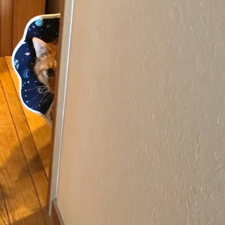 3d72fb5d 21bf 4b61 bbb8 c2870e180bec 1745313451877