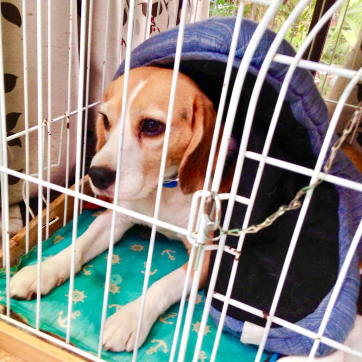 3d730750 bc04 41a9 b192 b2923aa061ae 1756074638394