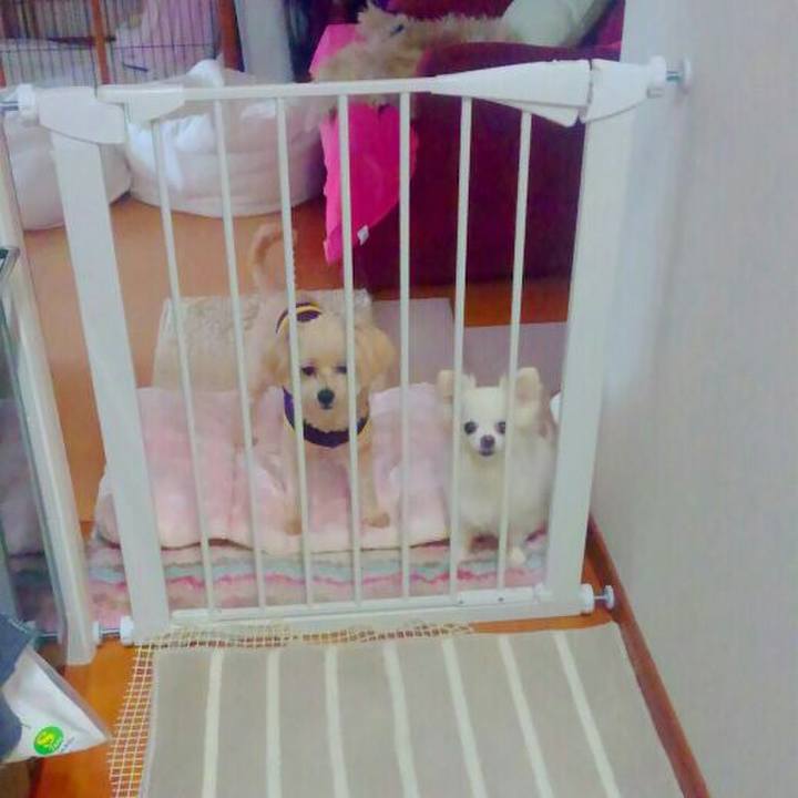 3d73083d 9de0 448d 8bc6 20fe5dfaed45 1532149429363