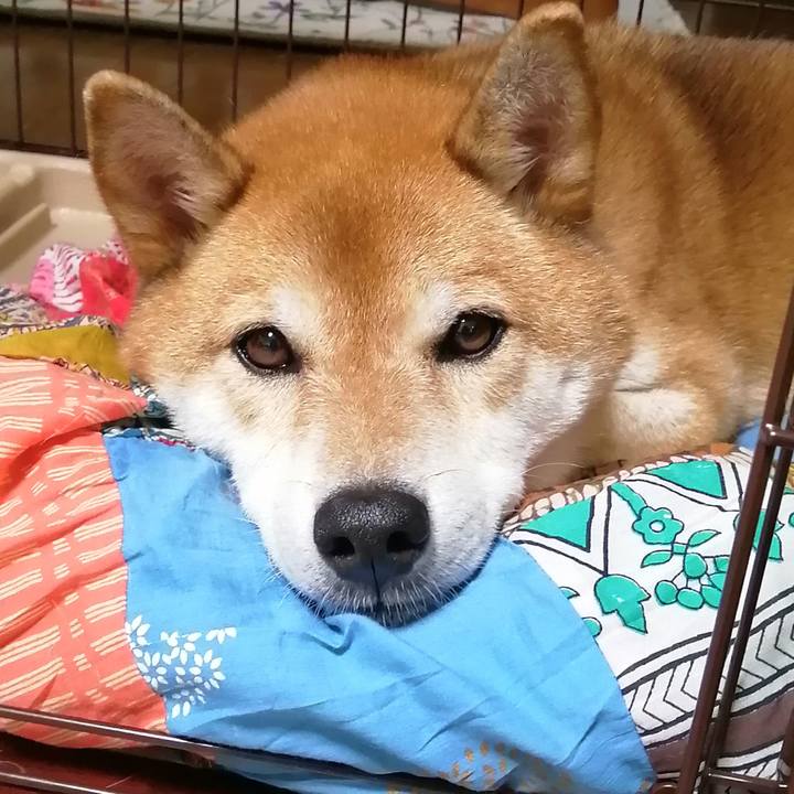 3d7323ee bd8c 415a a253 16aaec5a4e96 1661763855755