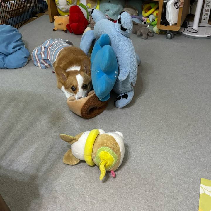 3d737333 1df0 4303 bfeb 76581f670edb 1757718956331