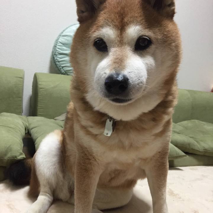 3d7374bf 393f 41c1 95bf 61ec8a9c2c45 1522928277524