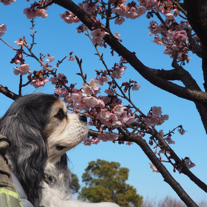 3d738342 7885 4364 80e5 c04f4681fc4c 1550921481918