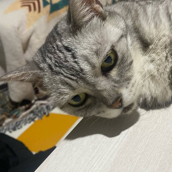 3d73b138 e73d 48e6 b696 bd18e712ac23 1756051441534