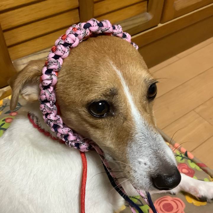 3d73e945 0239 4cf1 9b04 de82c4facdbd 1566471387845