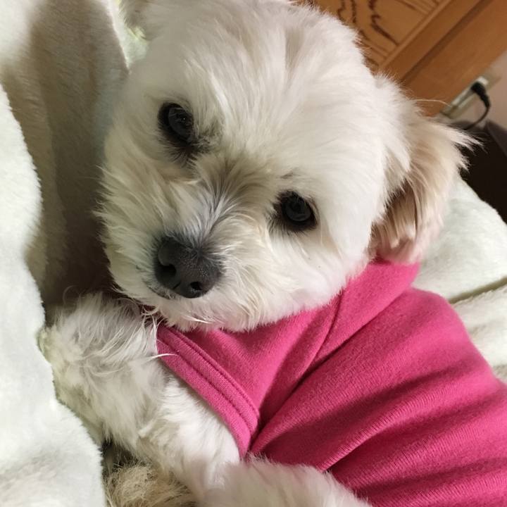 3d7421fa 0d8d 4d7c 9354 f5270e40417c 1515060001325