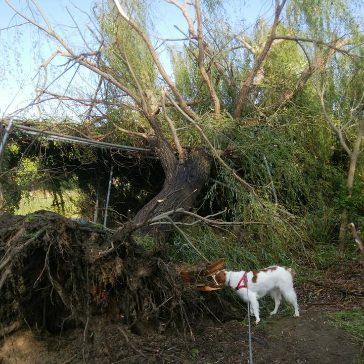 3d742600 2c8b 410b b736 1e6195f3177e 1536107438057