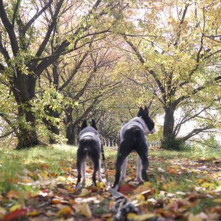 3d74759f 9c9b 4388 b585 a57717e4b72b 1574511264941