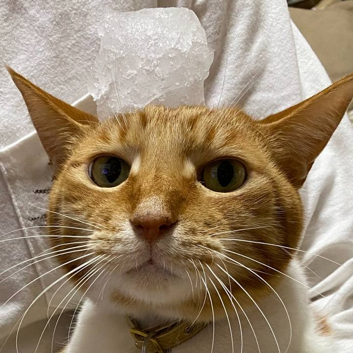 3d748a02 f784 458b aec3 470c2129c989 1741443554838