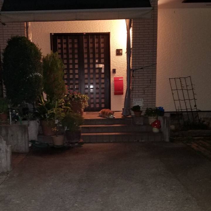 3d74e8fe a257 4aa4 8746 9a5c13fad45f 1631453229078