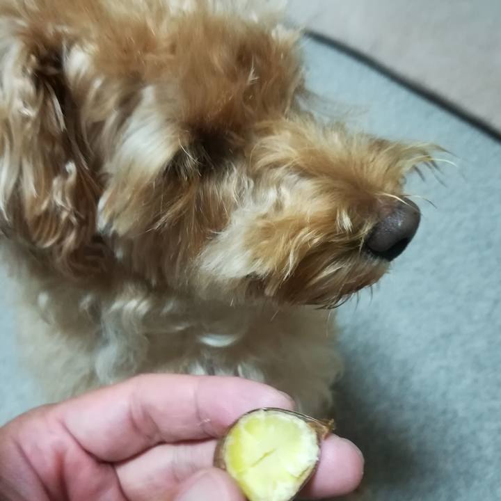 3d74eade ddfb 42d5 bc03 a2c2d8bb7e1a 1537700273311