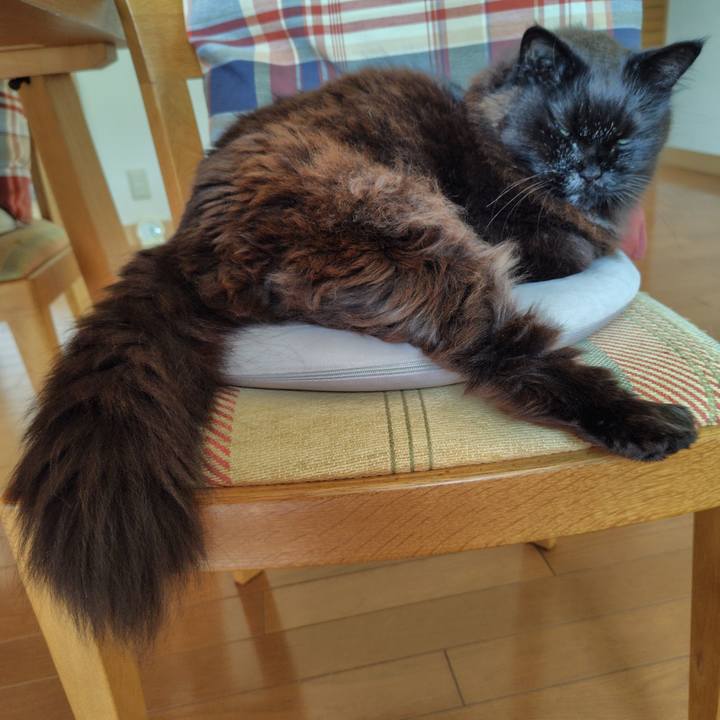 3d74eb5c 59ec 494c bda2 6873ba8ac02f 1747178268237