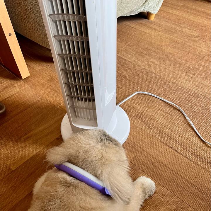 3d75149f 4748 4795 b7d1 10c7c36a63c8 1755313925939