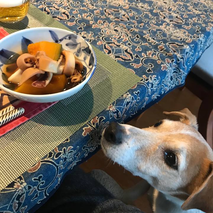 3d75215c d98f 4a02 bbba 89e598fd3576 1581063049563