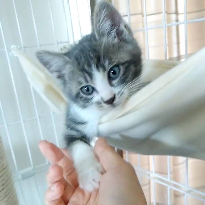 3d75381f 0f39 48d9 b43e d9d11d71c997 1654571722067