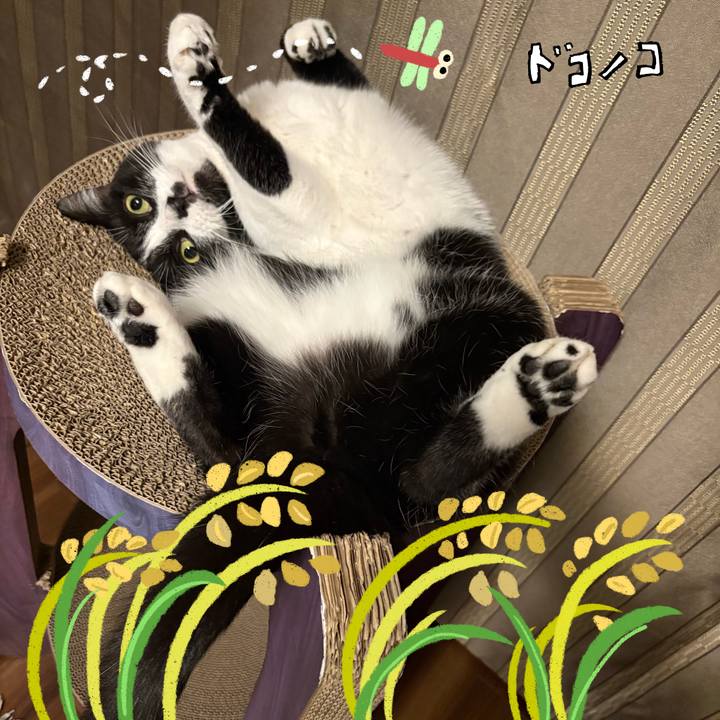 3d75410c 79a7 40c2 aabc e9a39932ae28 1761361045081