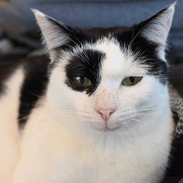 3d754d17 27b5 4f34 906a 203cb945816c 1516583654999