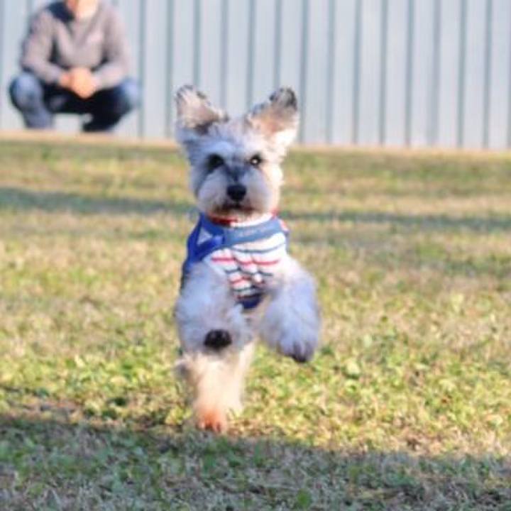 3d75ce3e c7ae 4ce4 83f1 3ab086675e6a 1636874384763