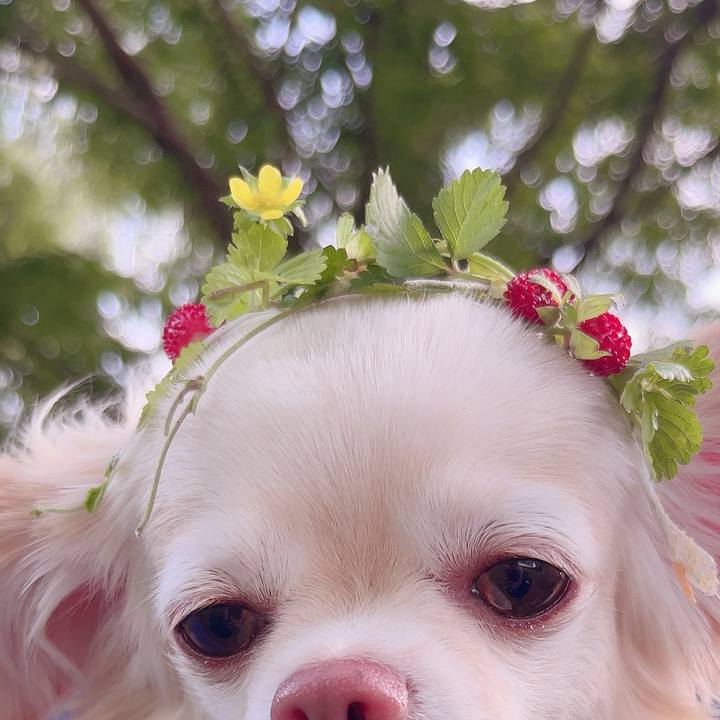 3d75f940 ef9f 4463 a3c3 4dc2d137694a 1717851882387