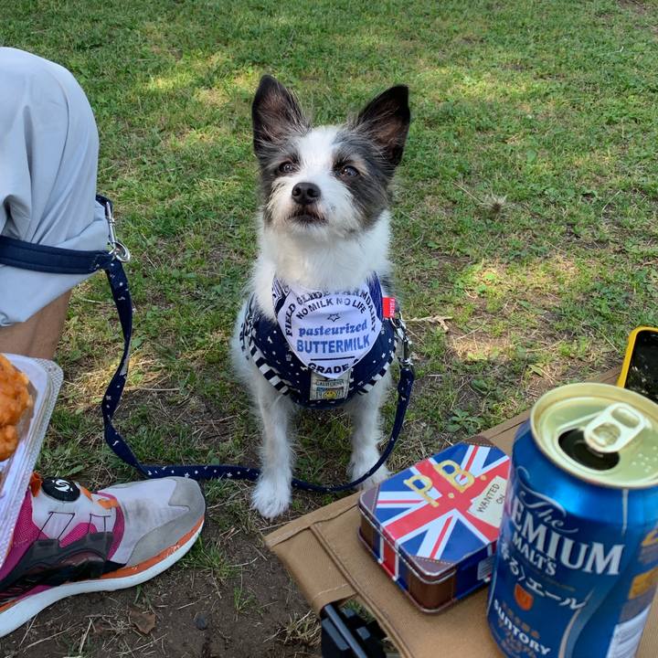 3d760472 f2d6 45f5 b61b 1ab038695954 1558845581325