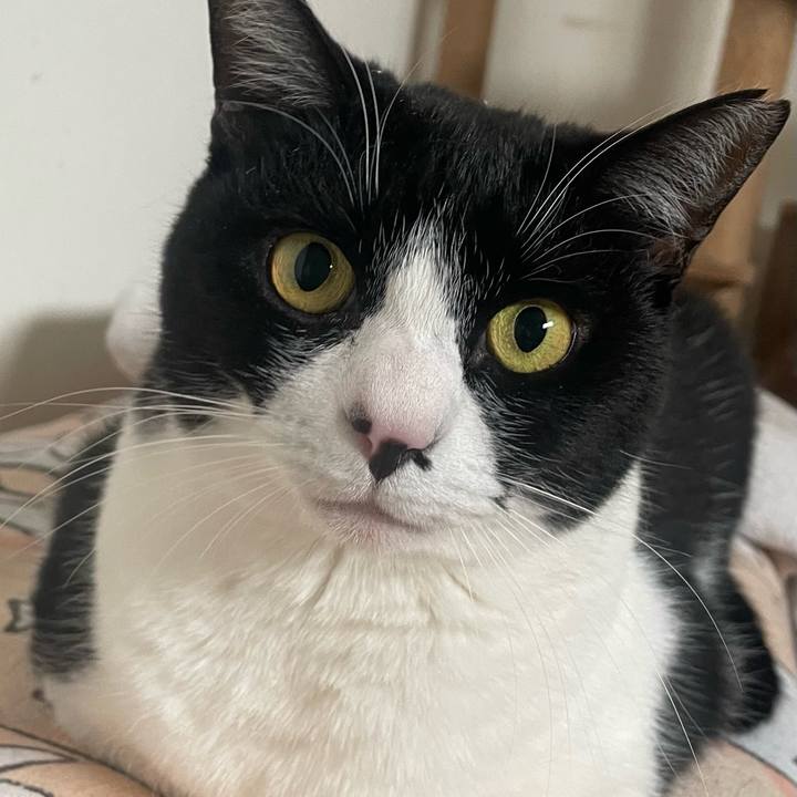 3d76089e 7d5a 44ee 9acd 832512e1bbb0 1774308457452